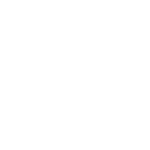 João Pedro Pereira Nutrição